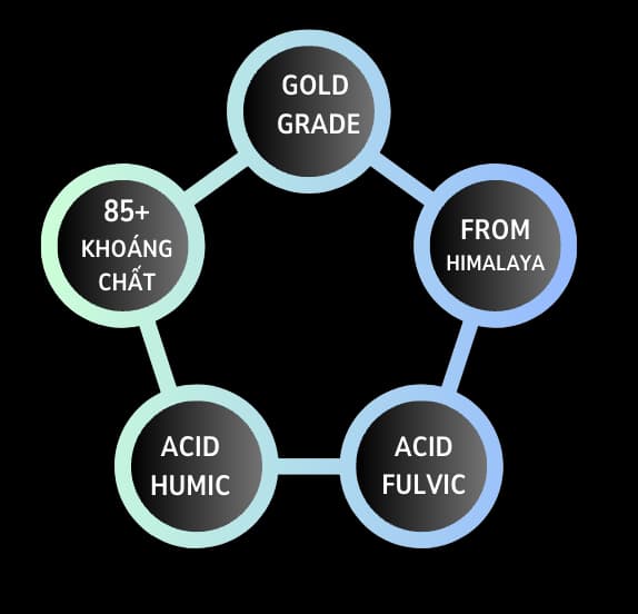 Shilajit sản phẩm minh họa